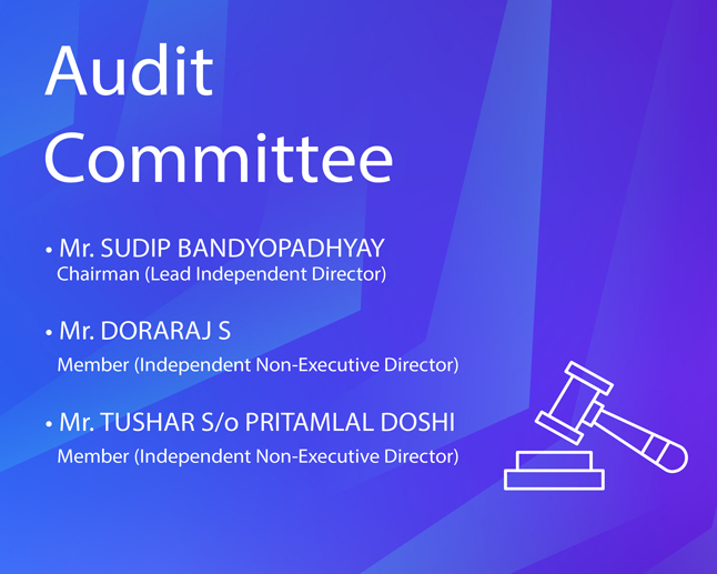Audit Committee 