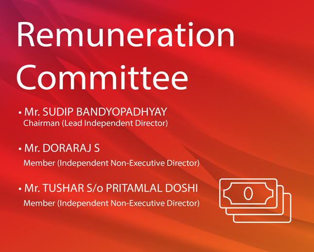 Remuneration Committee